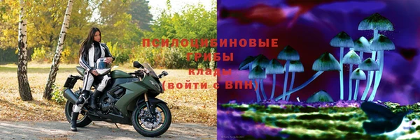 дмт Няндома